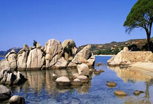 曼联中场布鲁诺打入制胜球，领球队赢得比赛